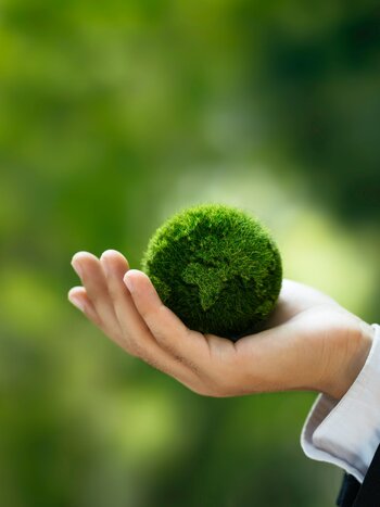 Eine Hand hält grünen Globus